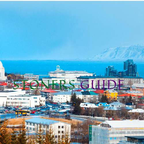 Where to Get Weed in Reykjavík